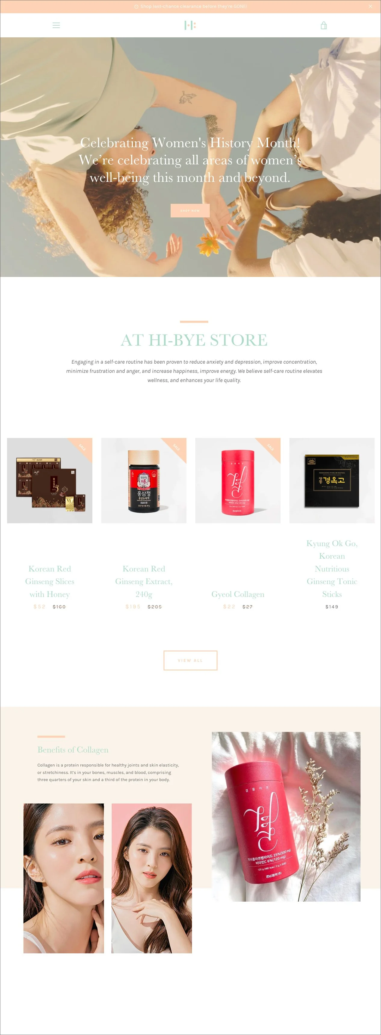Website Design (Copy)