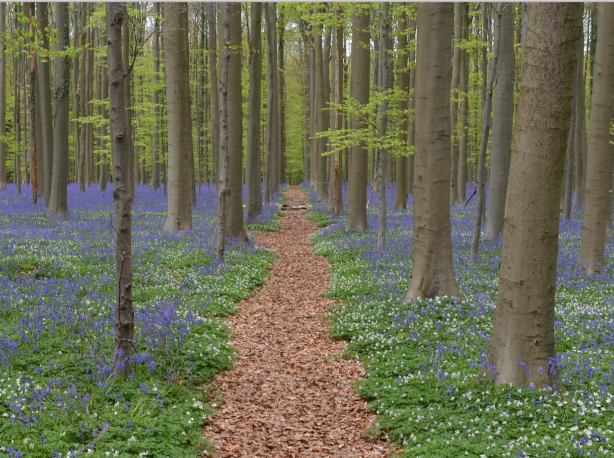 What is Integrative Therapy?