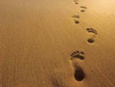 Mindful Walking Video 