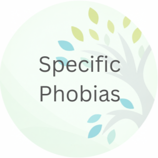 Specific Phobias - My Therapist Online