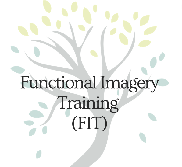 What is feedback informed therapy? Explanation of FIT and outcome-informed therapy approaches