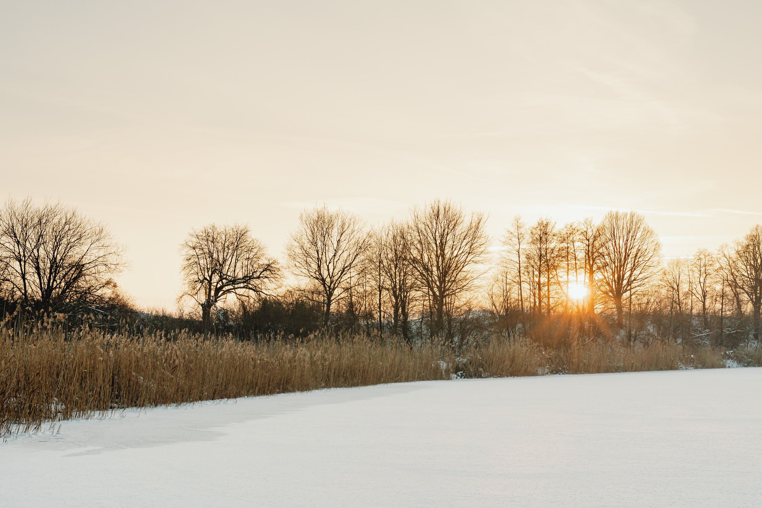 A winter scene with warm low sunlight glow