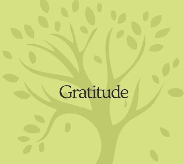 What is gratitude practice in therapy? Explanation of gratitude and wellbeing techniques