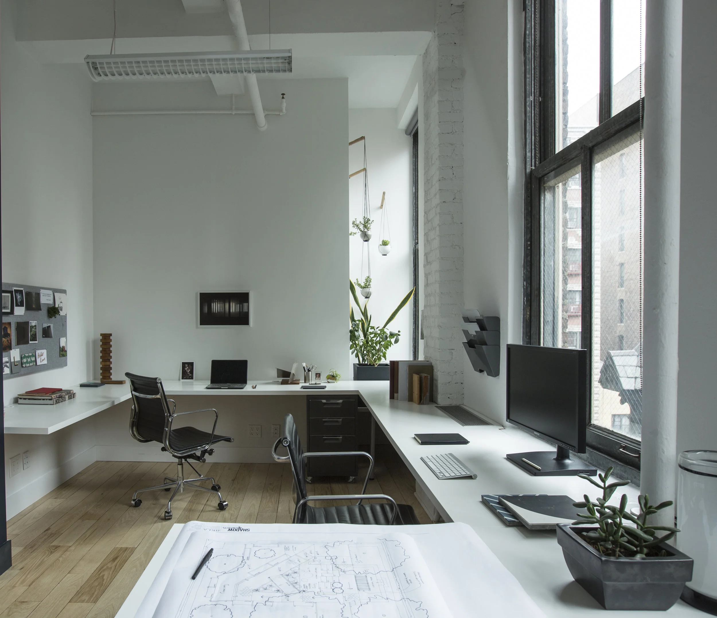 Office_21A4129.jpg