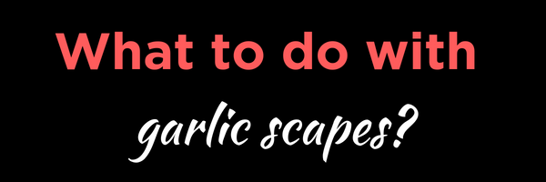 What to do with garlic scapes_.png