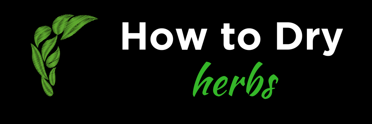 Drying Herbs.png