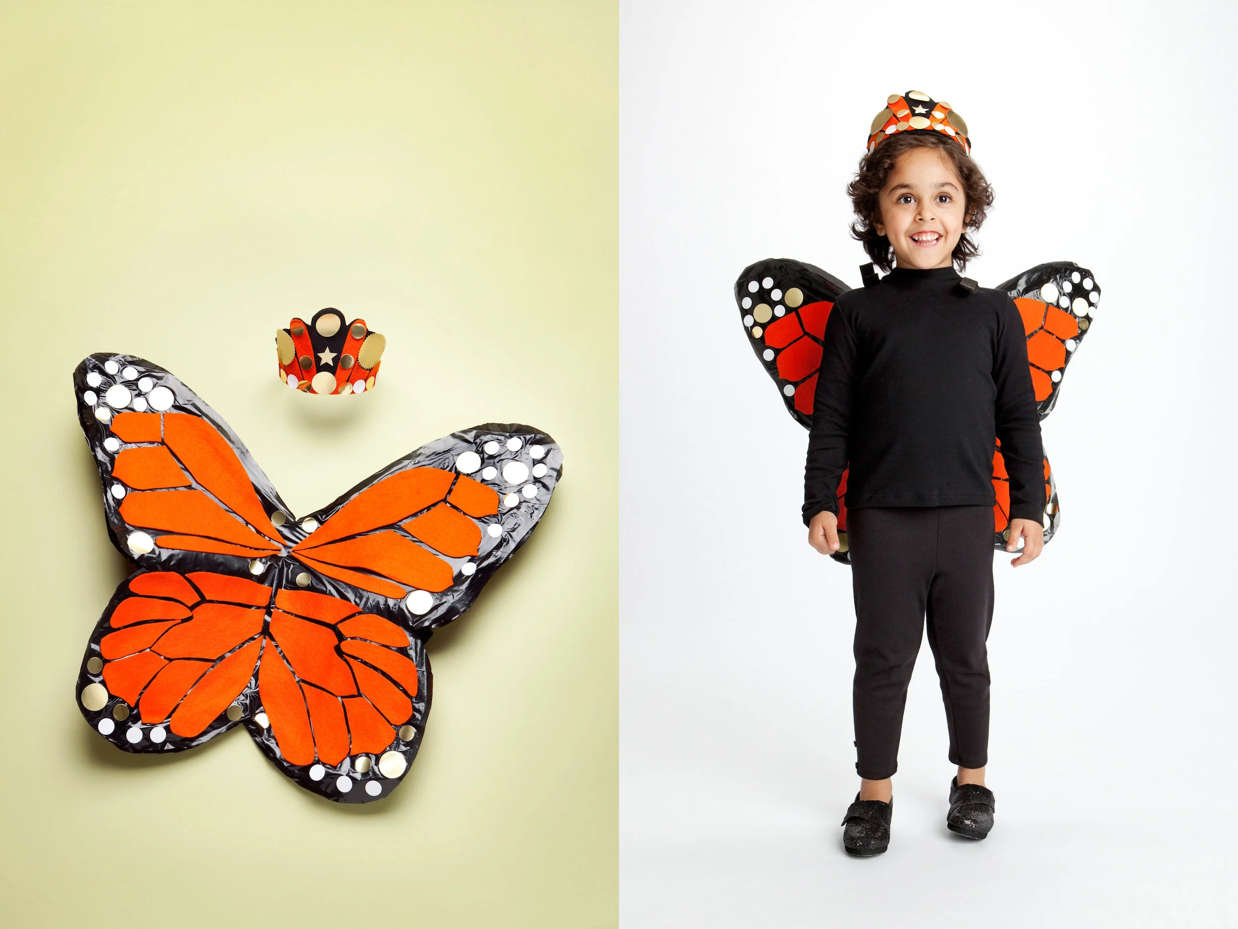 RS_web_MonarchButterfly_01.jpg