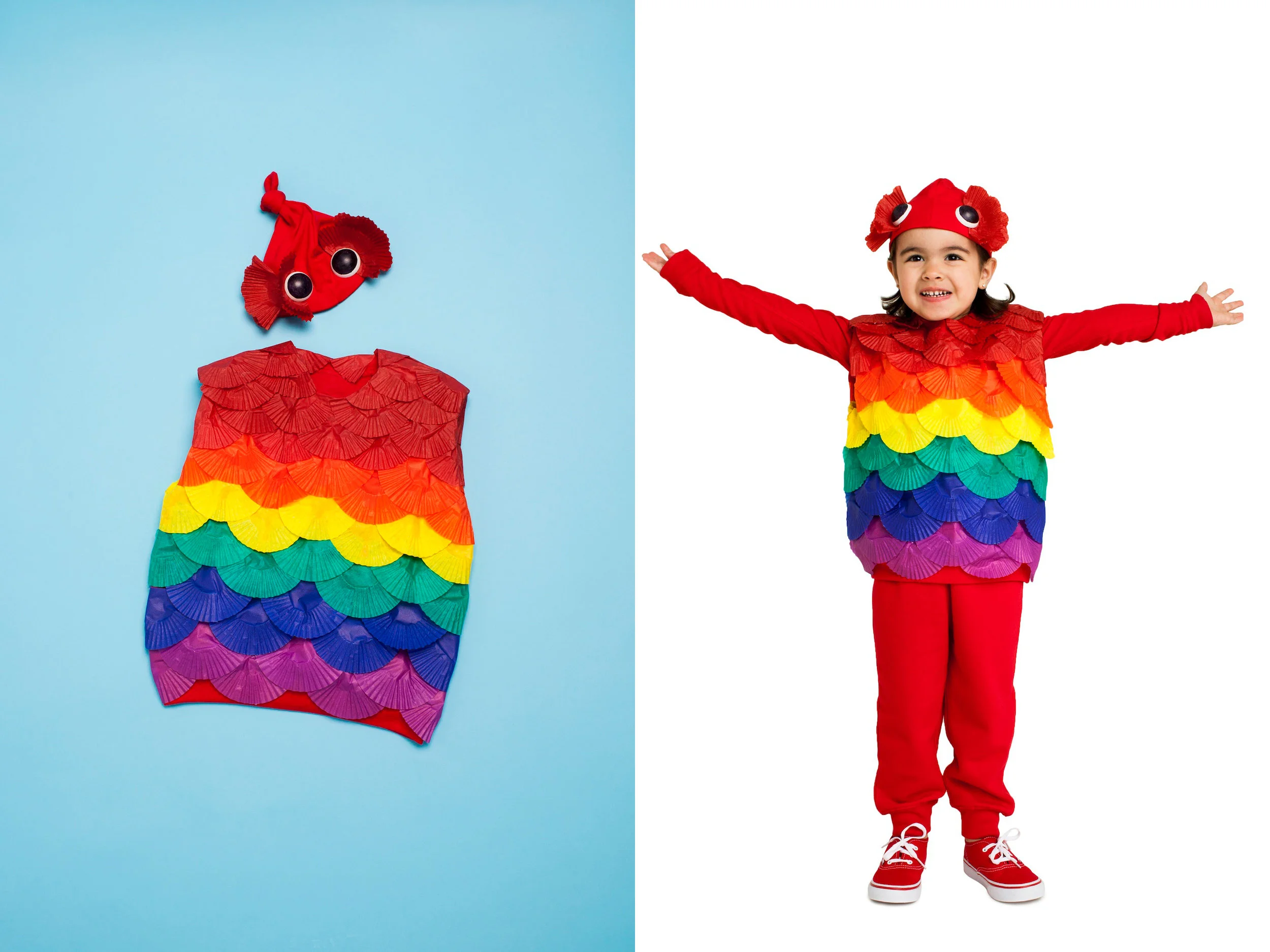 RS_web_RainbowFish_01.jpg