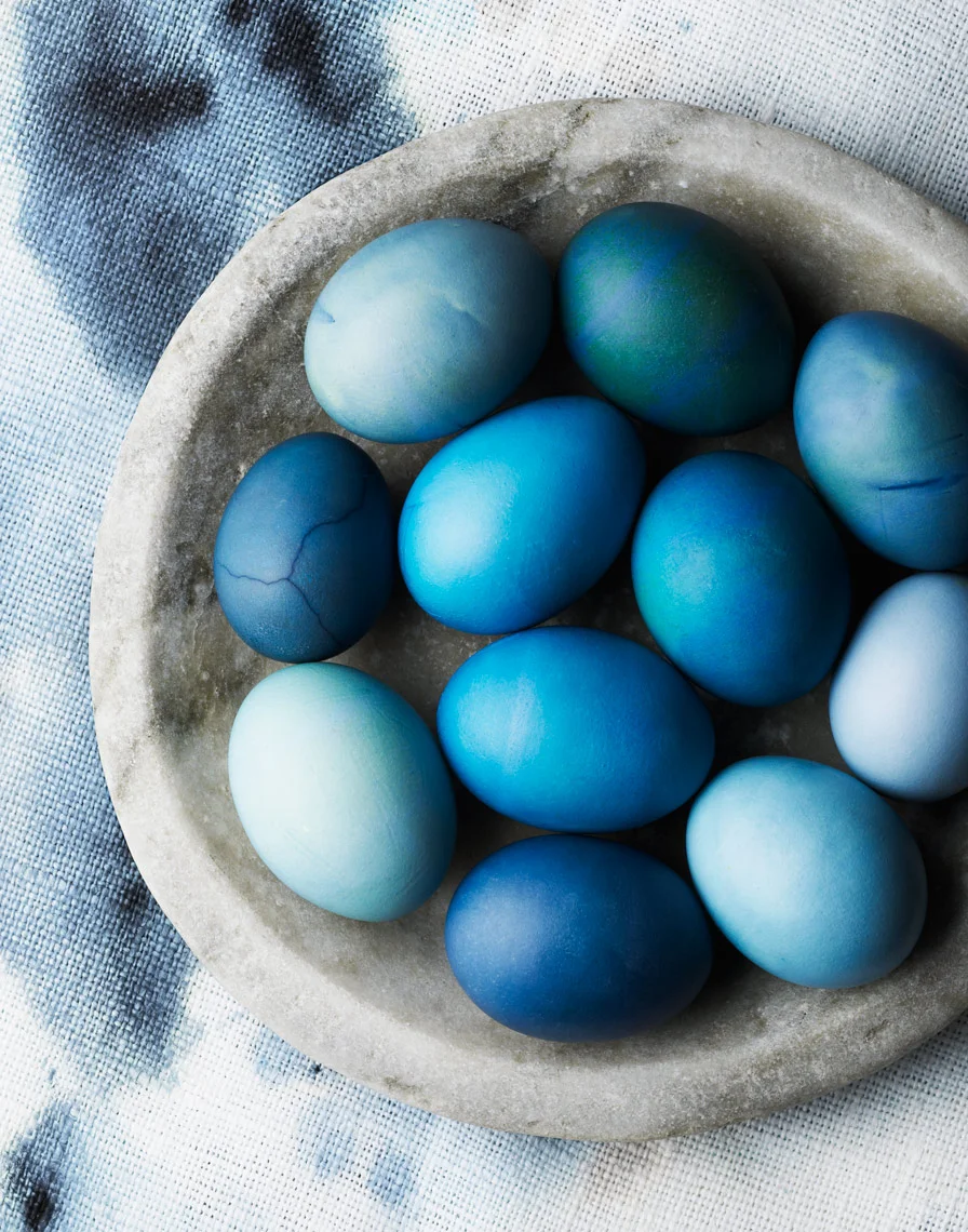 140405_BLUE_EGGS_044.jpg
