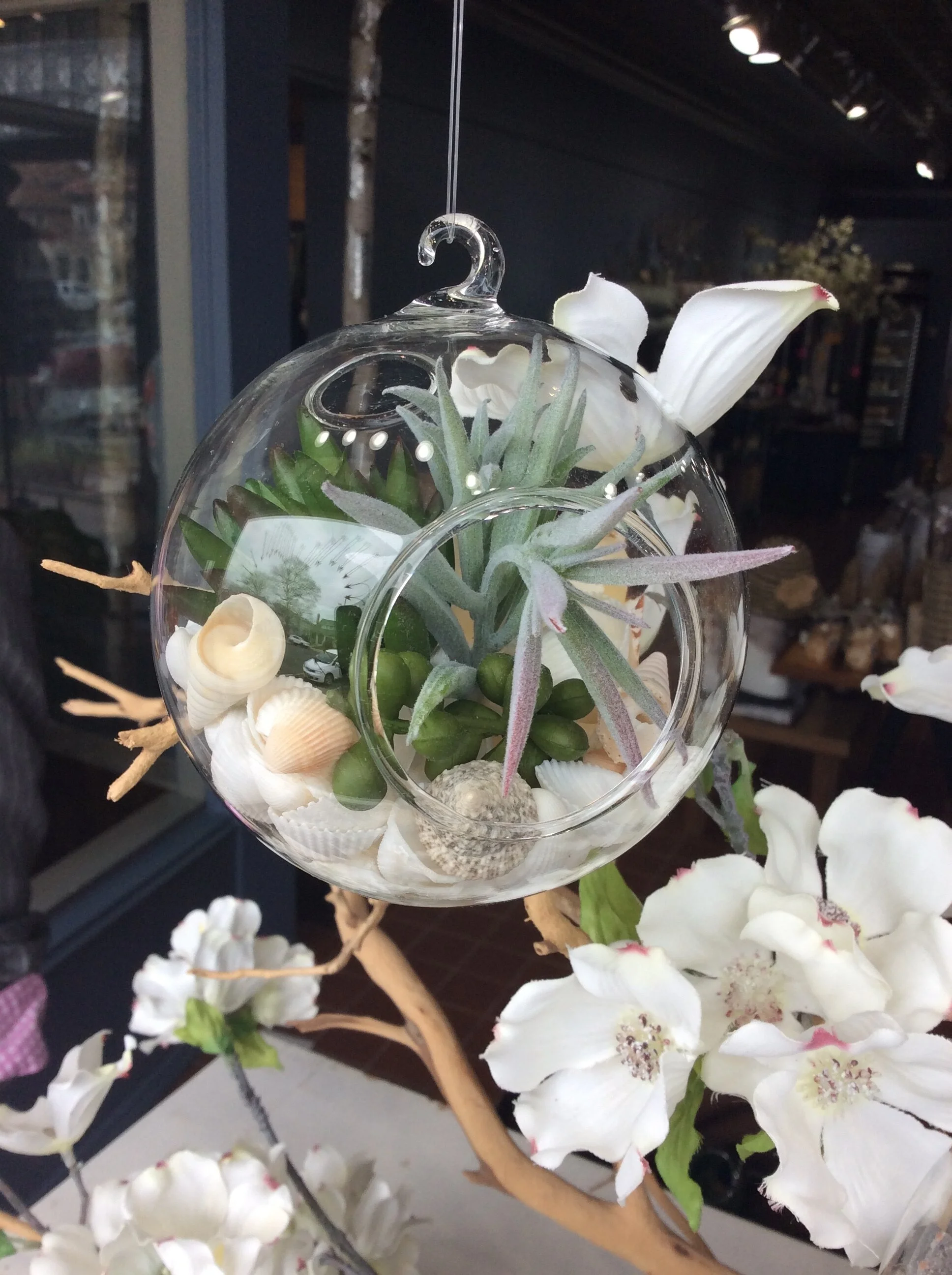 Hanging Beach Succulent Arrangement 4"