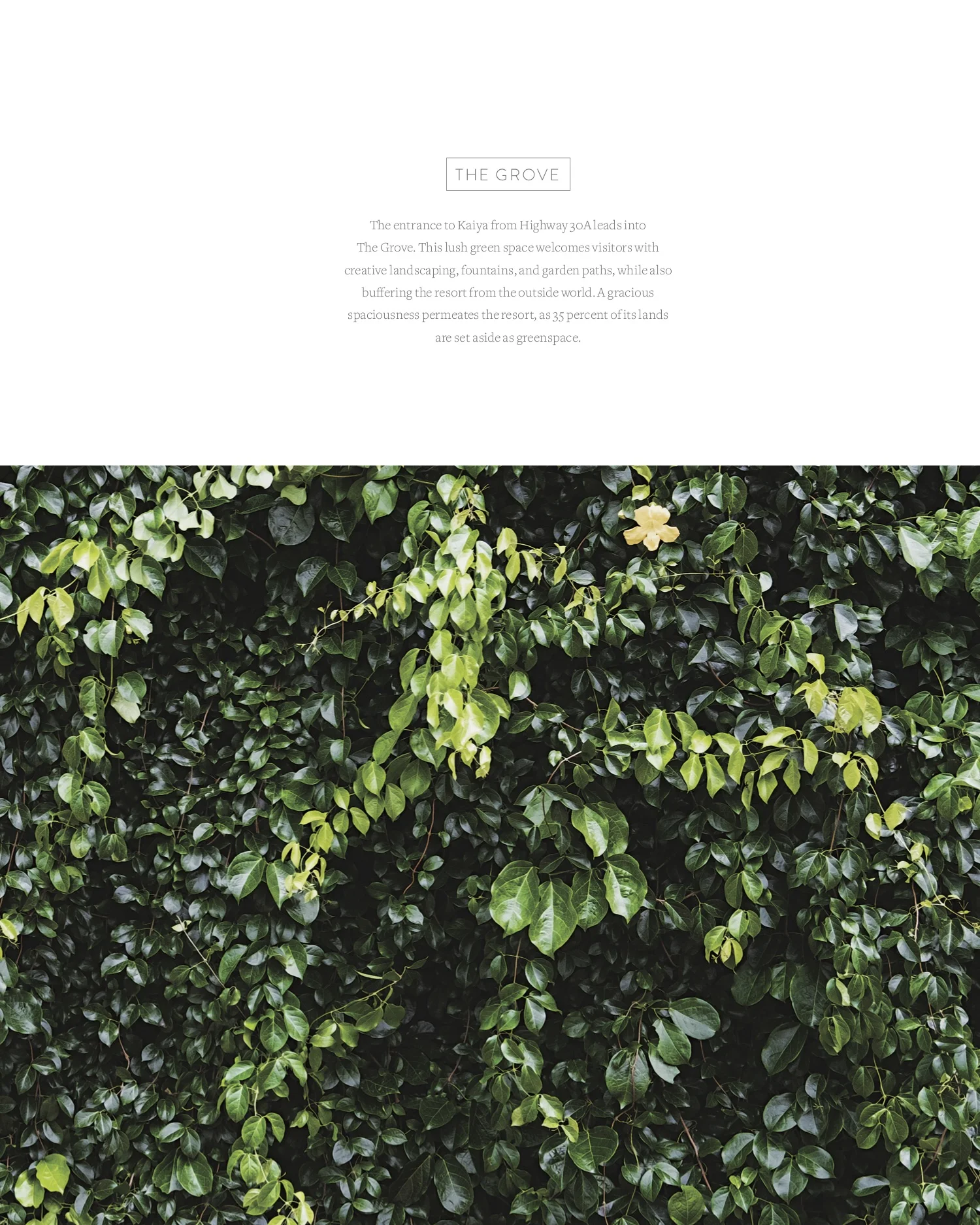 KAIYA Brochure 5.jpg