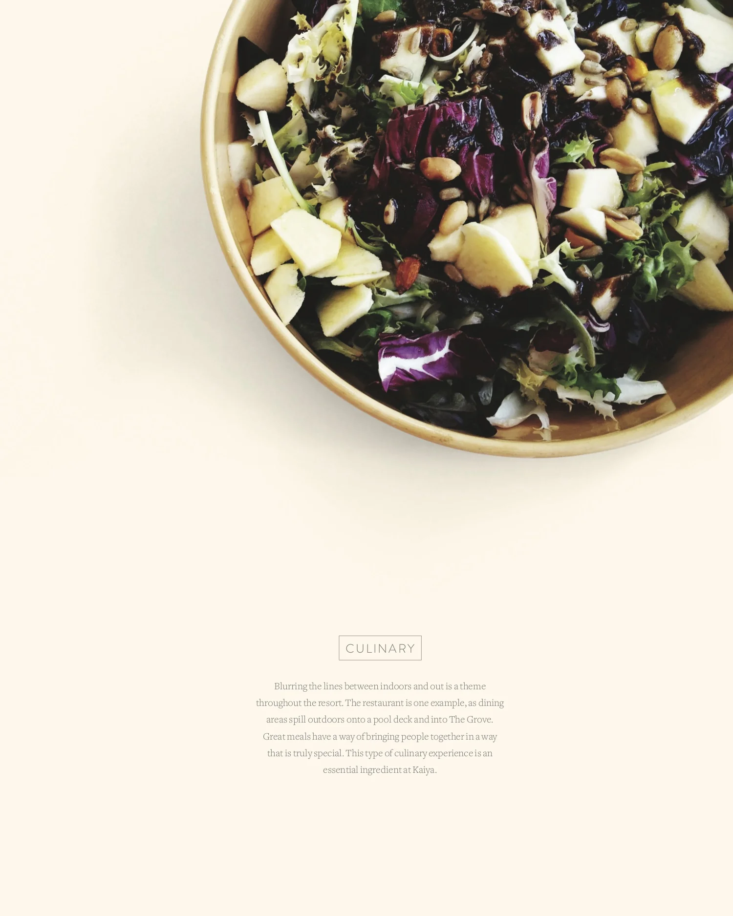 KAIYA Brochure 7.jpg