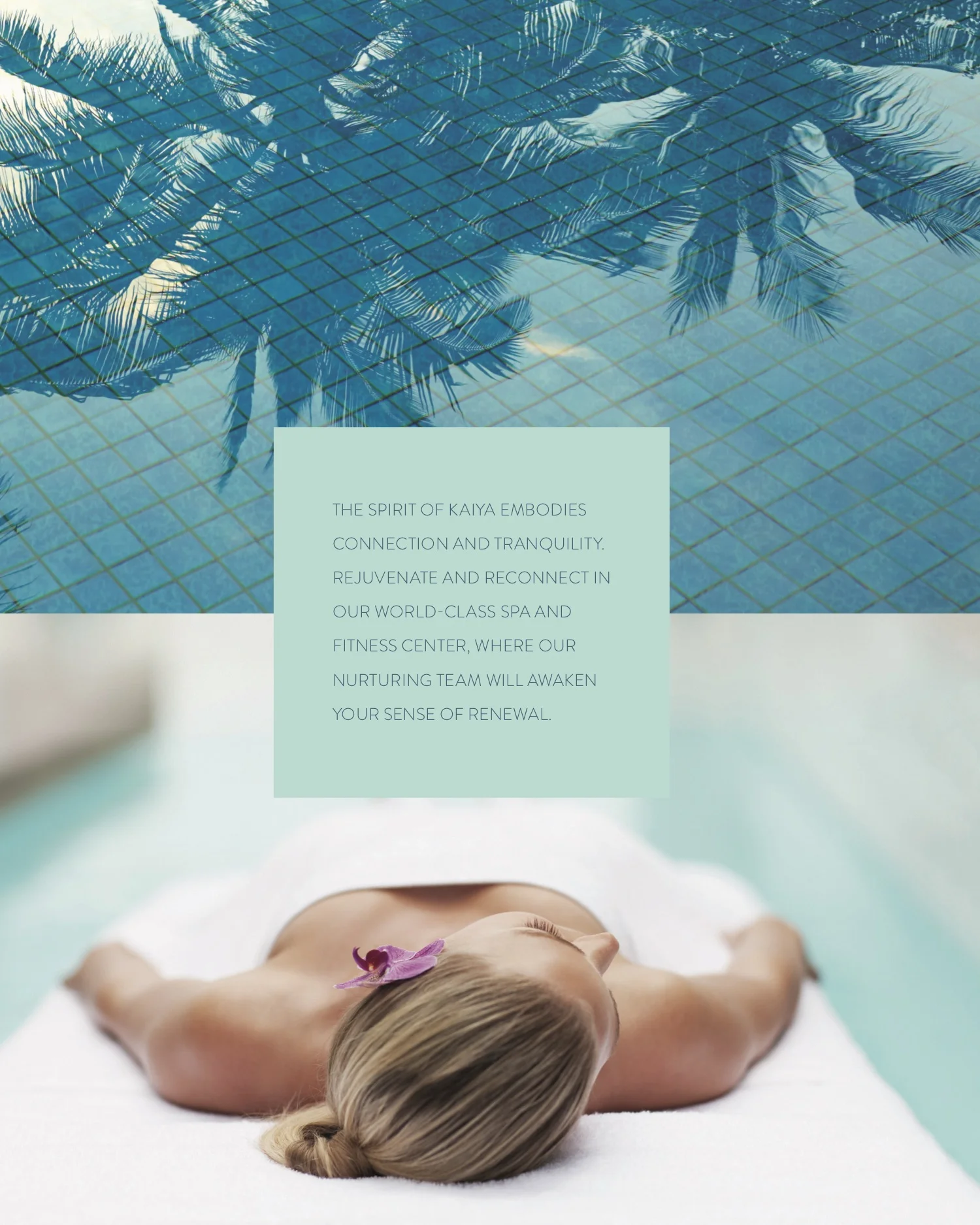 KAIYA Brochure 10.jpg