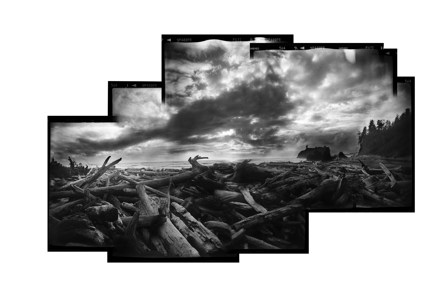 ruby beach pano flattened.jpg