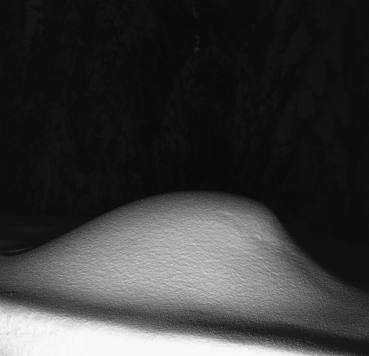 snowmound trillium lake night.jpg