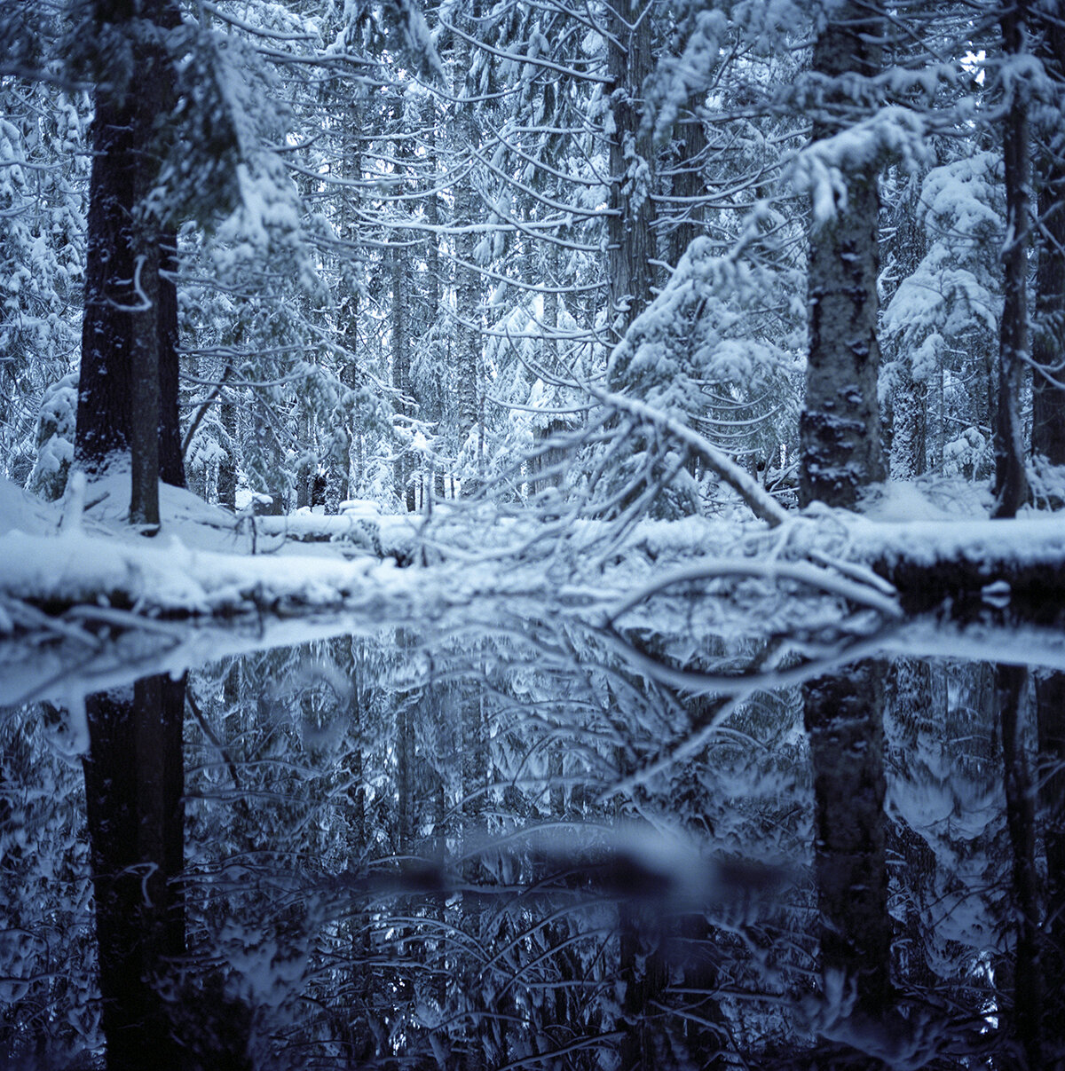 trillium lake frozen pond reflection 23tif.jpg