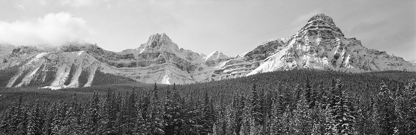 IMG_3853_o.jpg