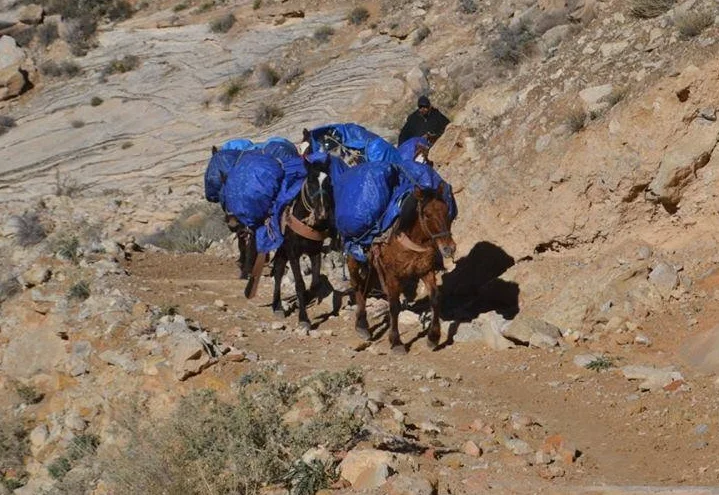 jan24_trail1.jpg