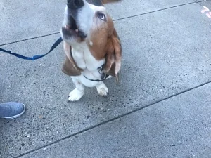   Why don't you listen when I'm talking to you?  