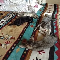   I love cuddling with family. I will always remember this, especially in my dreams    