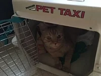   Yes, I love my privacy even if it's in someone else's home  