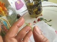   Hi, My name is Merlin the Caterpillar I will magically turn into a butterfly  