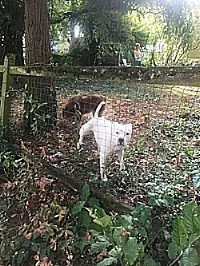   It's lovely to meet you but I have to pee  