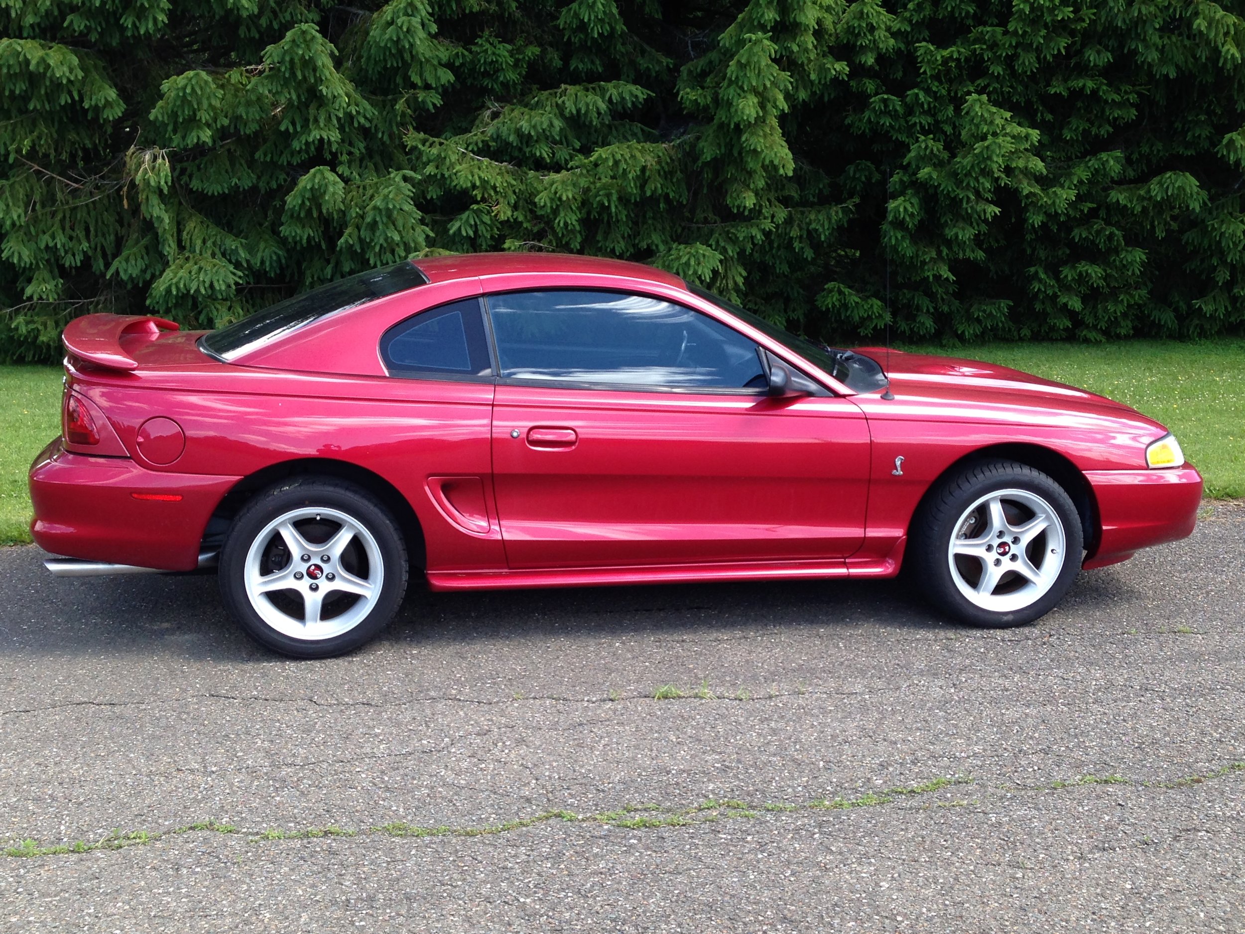 1998 Ford Mustang Svt Cobra Mccann Auto