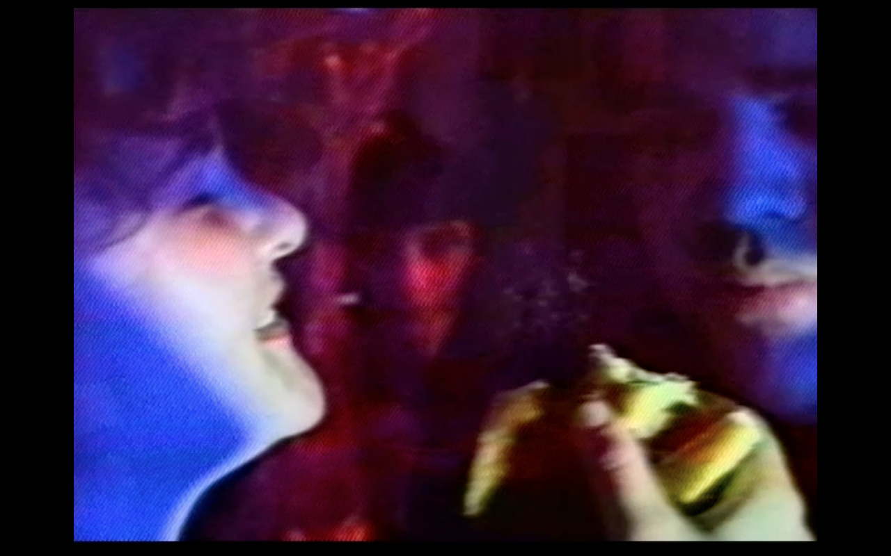  still from Sherman Acres , 1992, video 