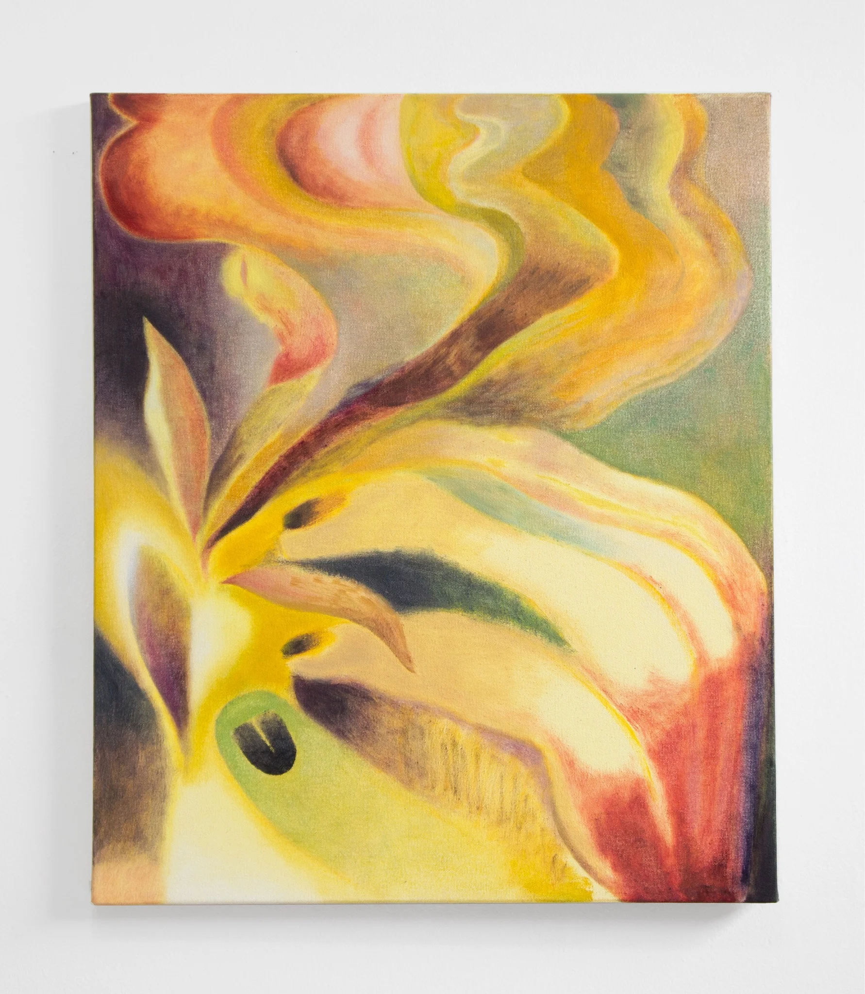 Untitled (Fever) , 2017, Oil and wax on canvas, 21 x 25 inches