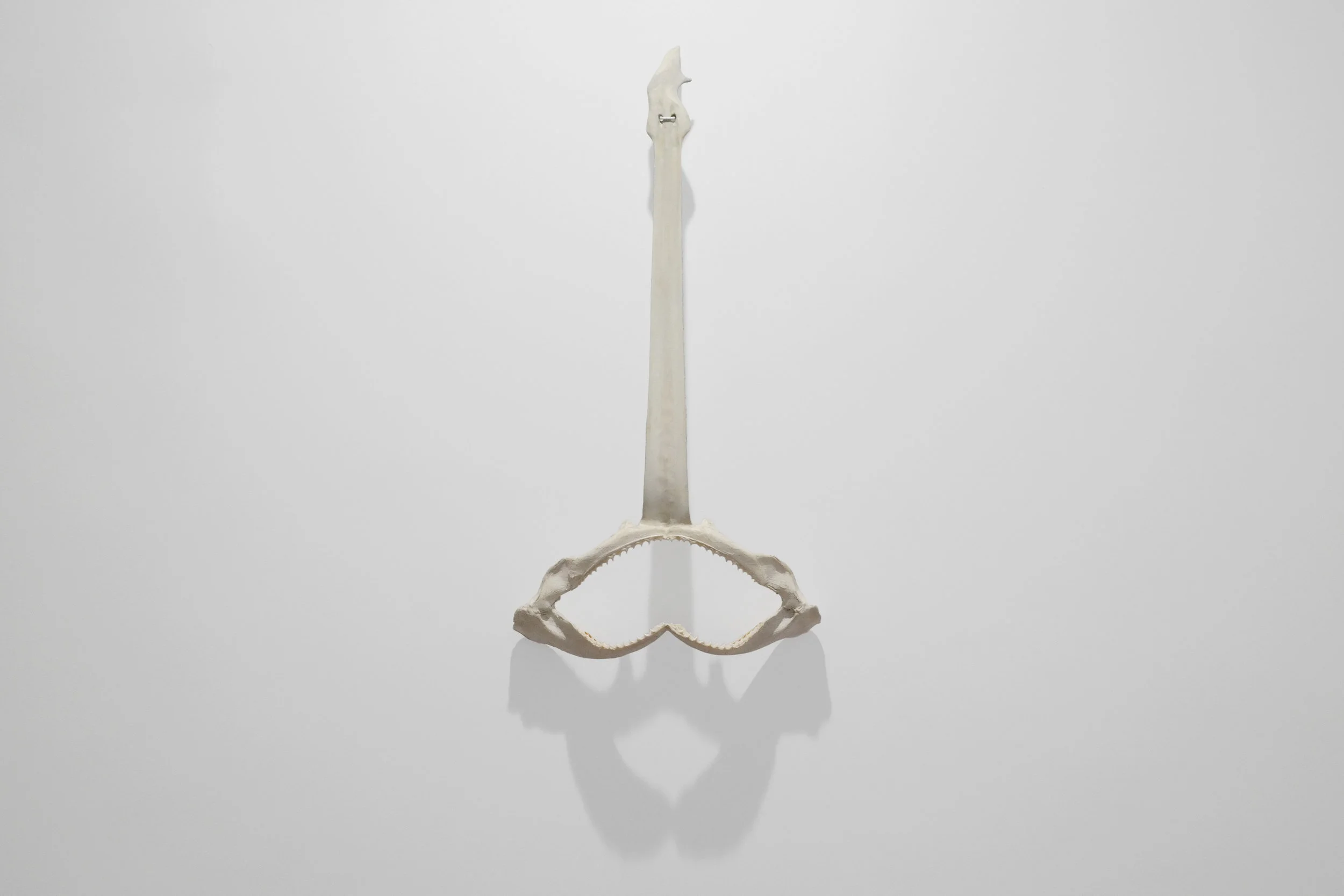 Pure Shores , Ohlsson/Dit-Cilinn, Shark jaws, palm frond, horn 2017