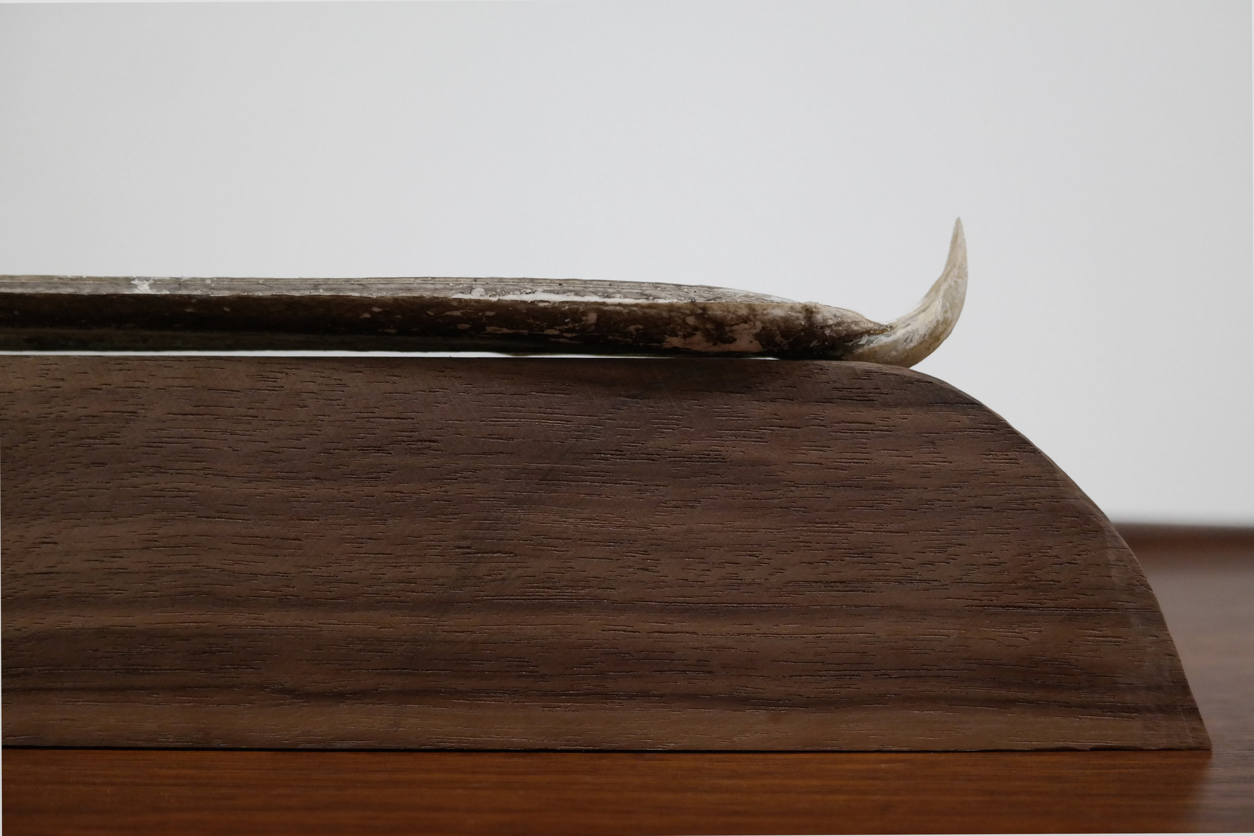 Beak Wood, pelican cranium, incense, 2017