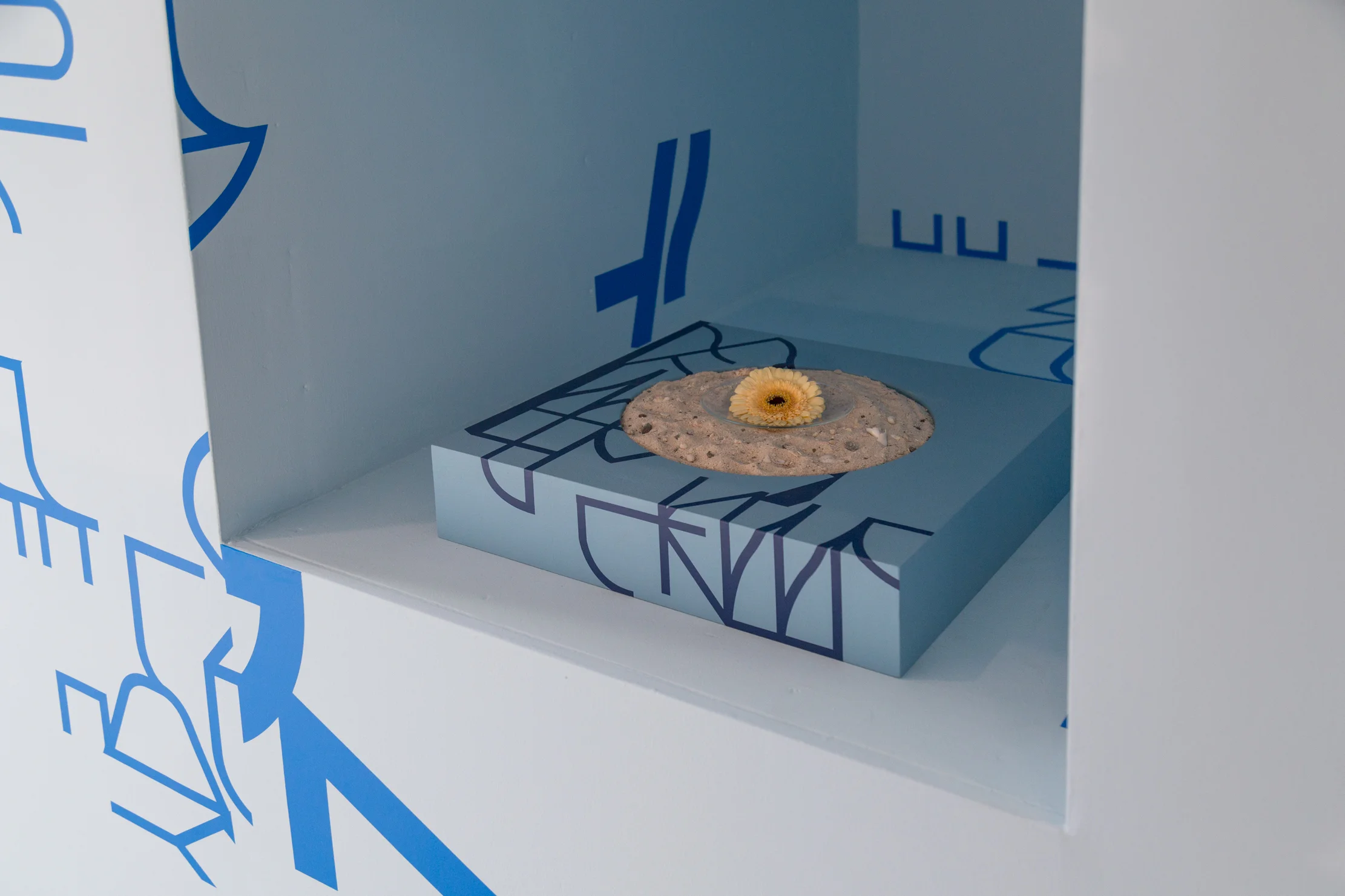 Big Blue Bees vinyl wall installation, custom shelves, Necklace, Books, Sand, Flower, Edition of 10, 2017