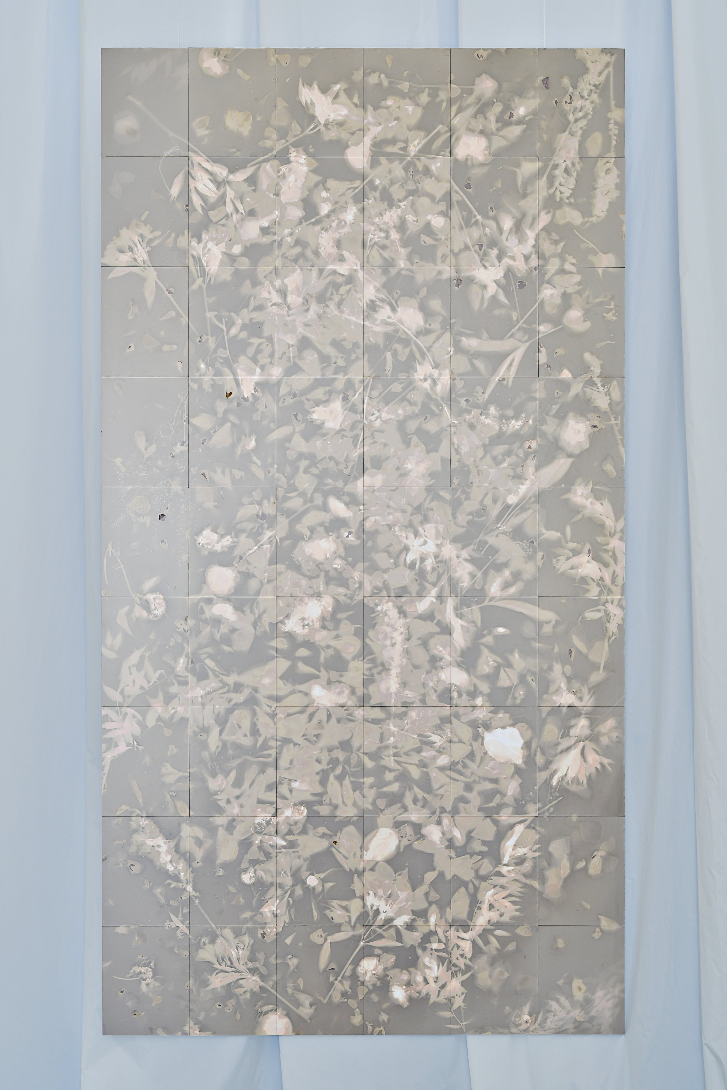 Robert Canali, Flora Study no.1 , 48 x 90”, partially fixed photograms, 54 sheets of expired Agfa RC paper, black and white, processed with exhausted Kodak fixer (still sensitive,) refuse flowers from the San Francisco Flower Mart, 2017 