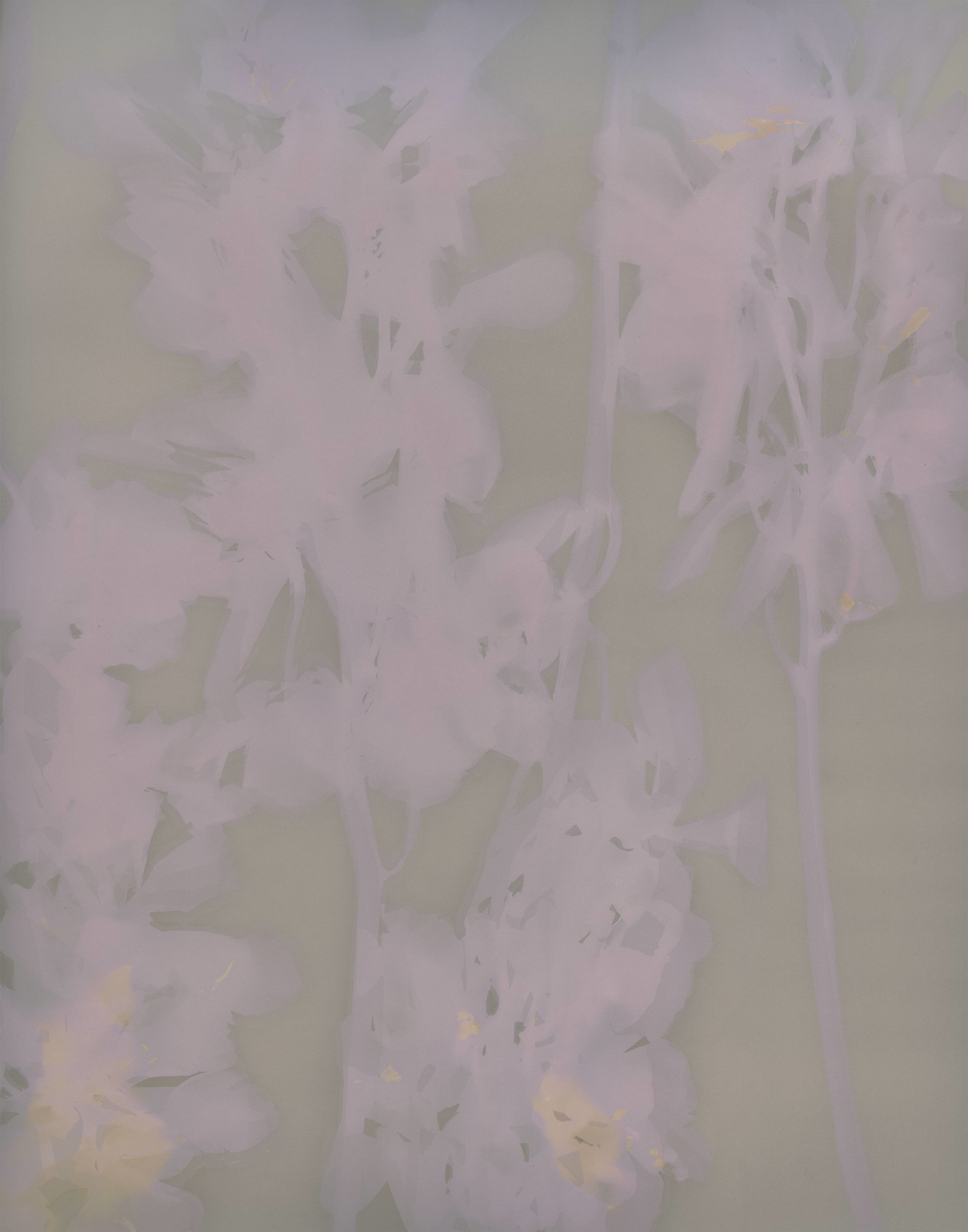 Robert Canali, Untitled 04 , 11"x14", photogram, expired photo paper, processed with exhausted darkroom chemicals (still sensitive), 2017