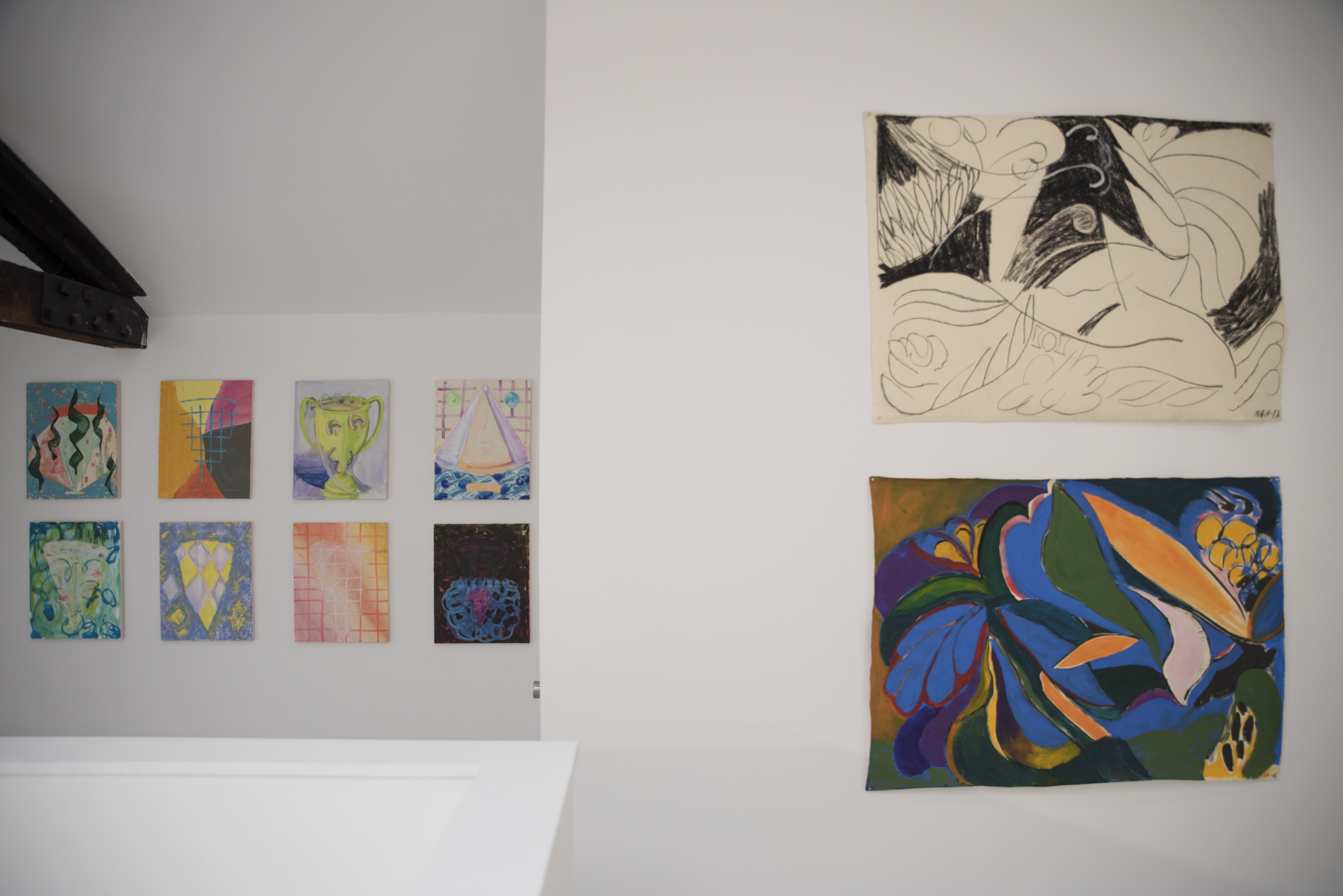 Installation view of Virago at HILDE, 2017