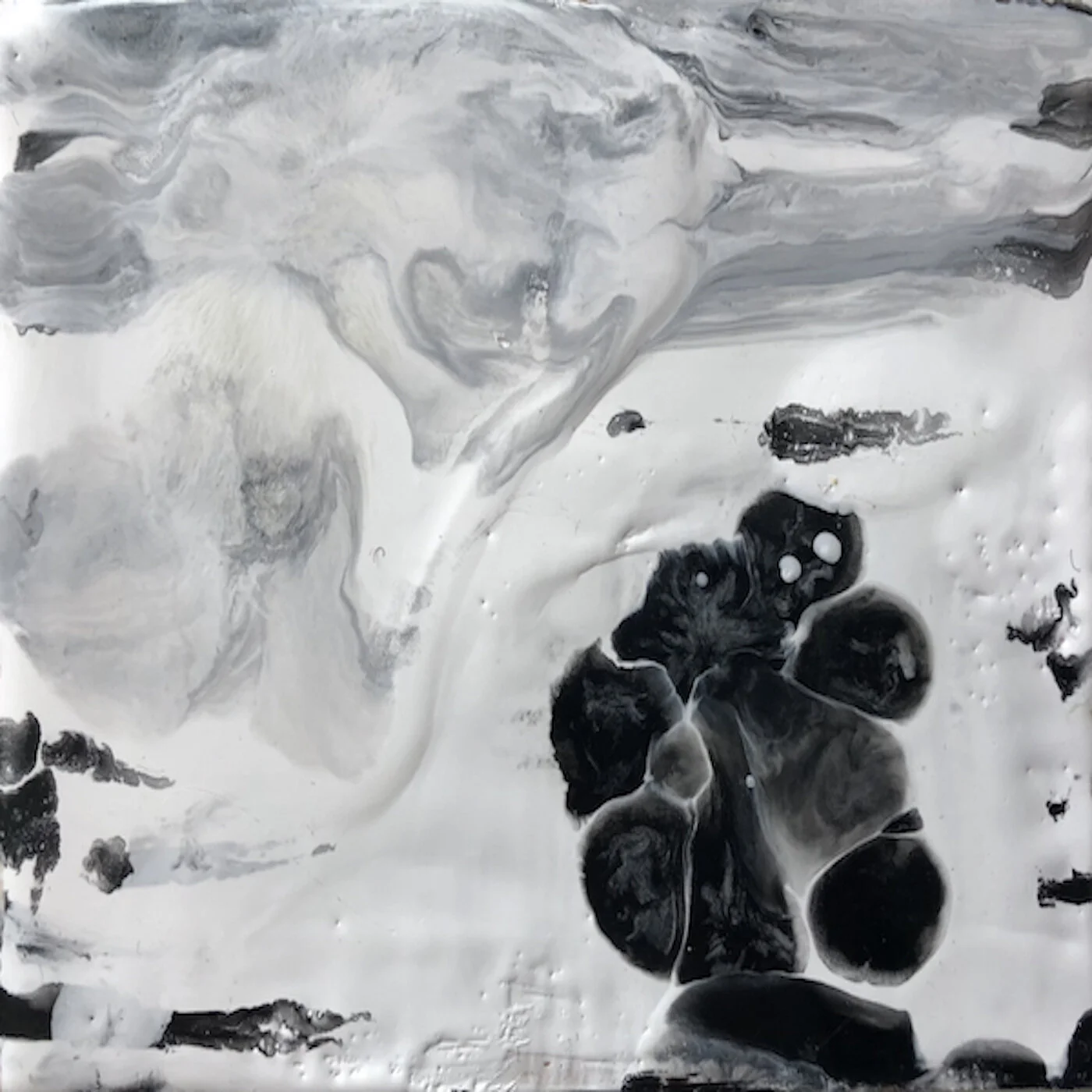 The Adventures of Qwfwq (2020)