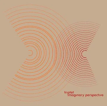 IMAGINARY PERSPECTIVE (2011)