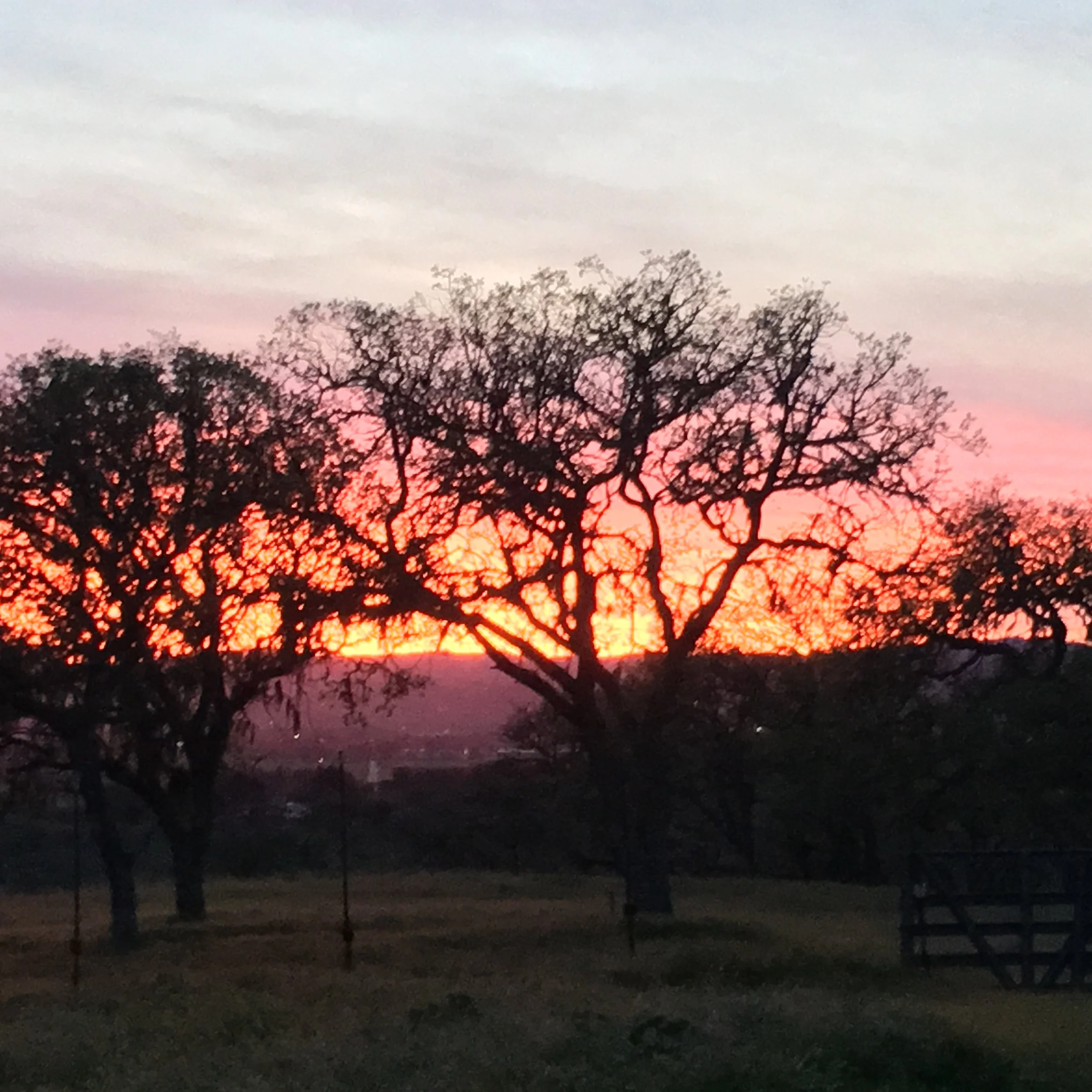 Post-Harvest Soil Fertility for Trees &amp; Vines