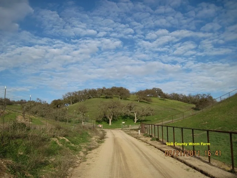 Worm Farm Is Open To The Public