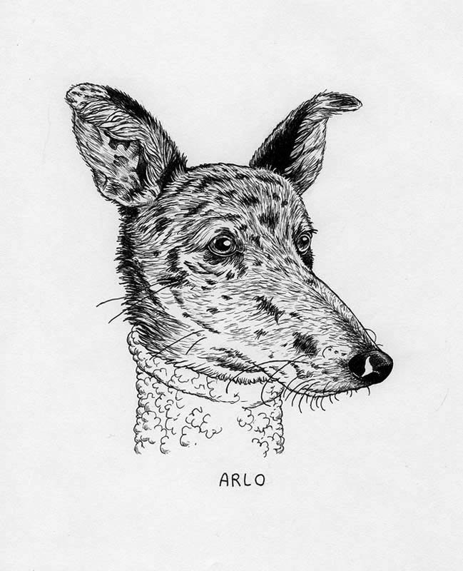 Arlo_Avery.jpg