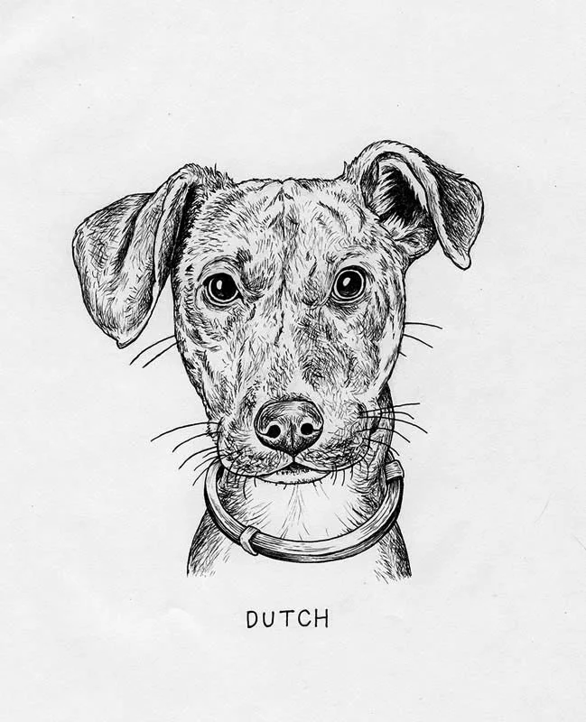 Dutch.jpg