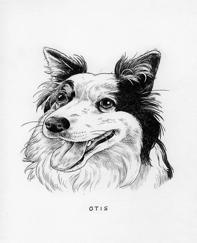 Otis.jpg