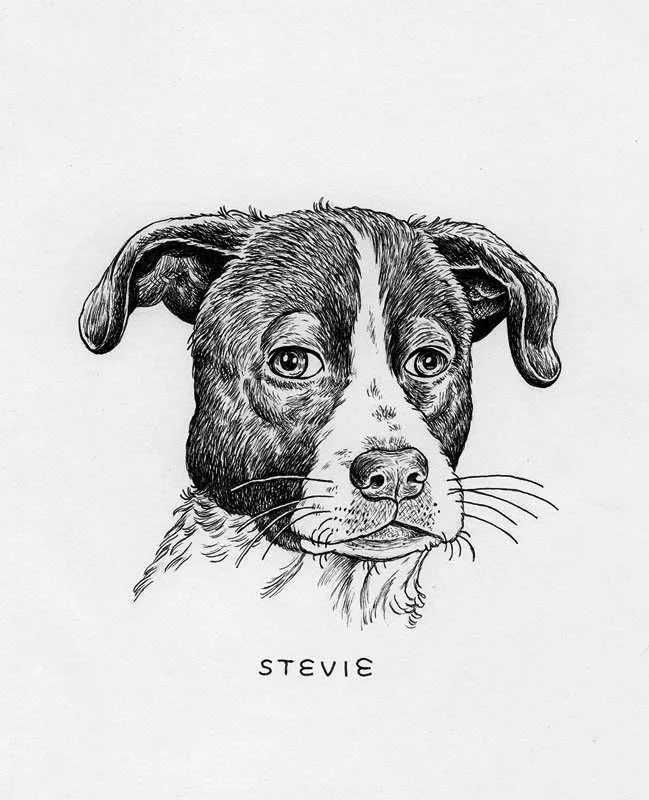Stevie_Eva.jpg