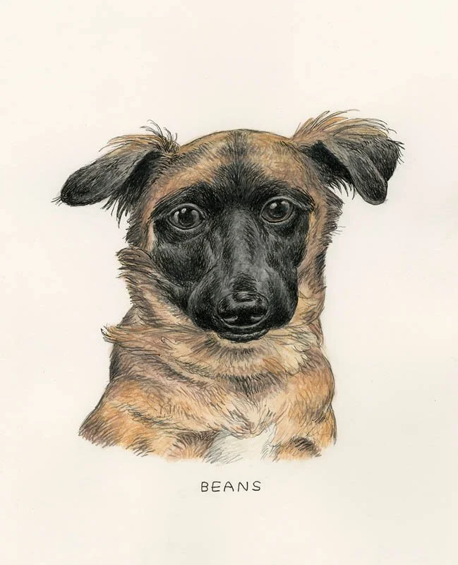 Beans.jpg