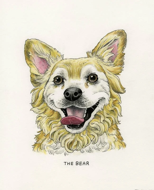 Bear.jpg