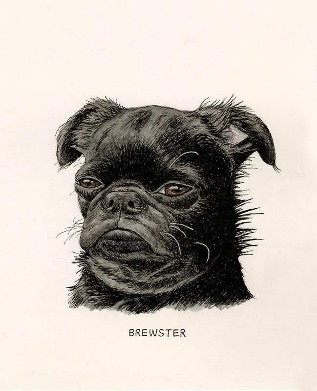 Brewster.jpg