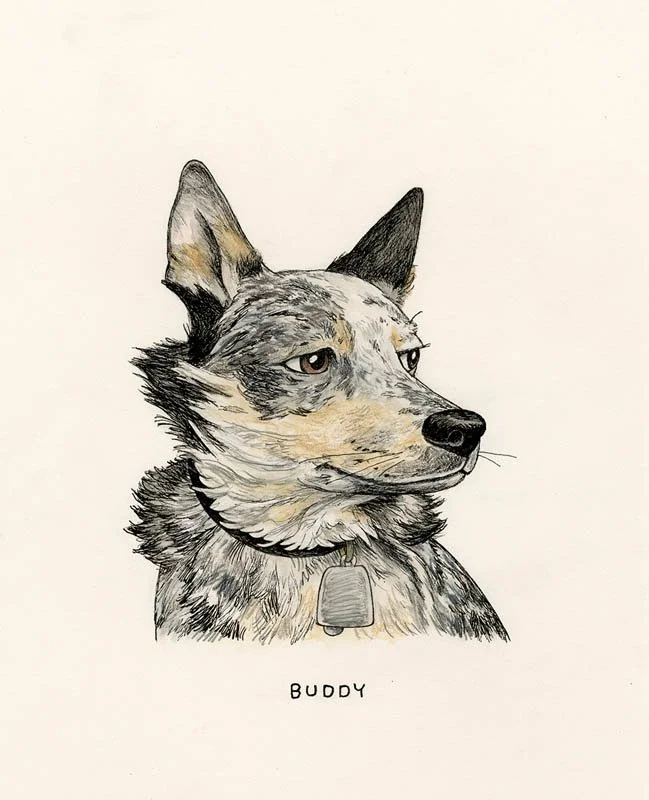 Buddy.jpg