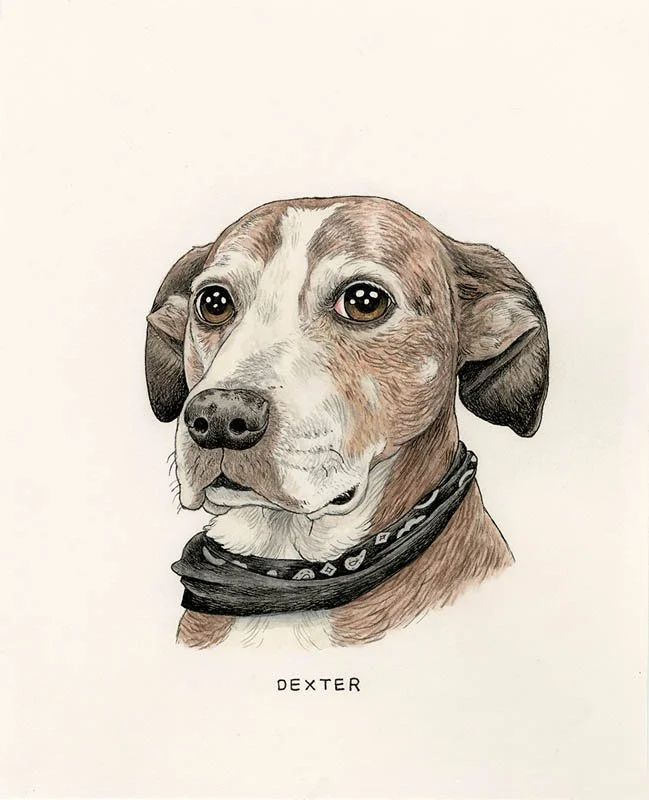 Dexter.jpg