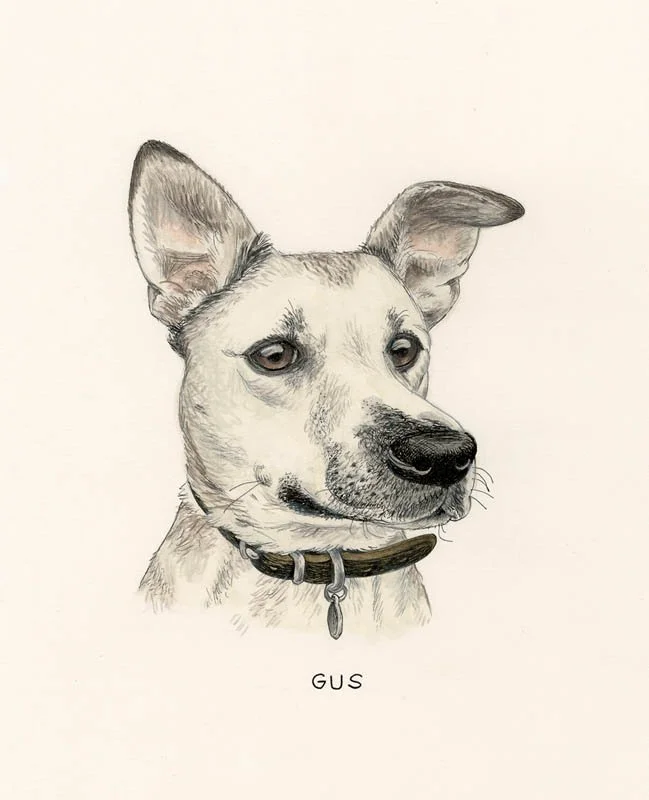 Gus.jpg